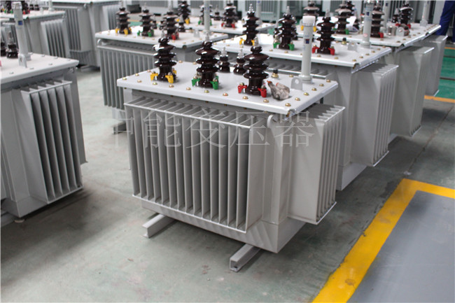 武汉S22-100KVA/10KV/0.4KV变压器